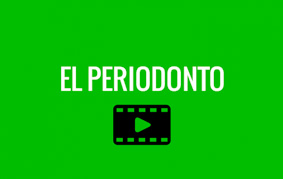 El Periodonto